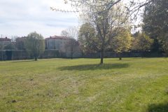 IMG_20260402_113127