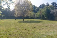IMG_20260402_113145