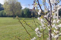 IMG_20260402_113209