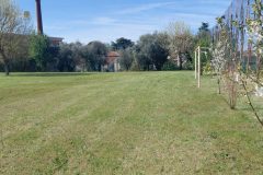 IMG_20260402_113222