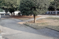 GIARDINO DI ENTRATA