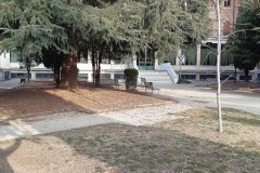 GIARDINO DI ENTRATA
