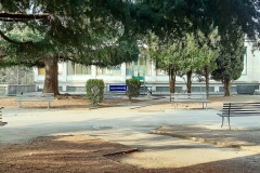 GIARDINO DI ENTRATA