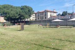 IMG_20260402_112457