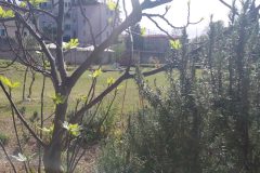 IMG_20260402_112604