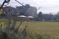 IMG_20260402_112611