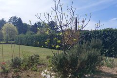 IMG_20260402_112624