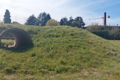 IMG_20260402_112658