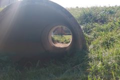 IMG_20260402_112712