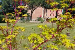 IMG_20260402_112836