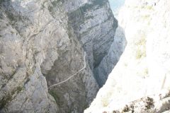 MG_0668